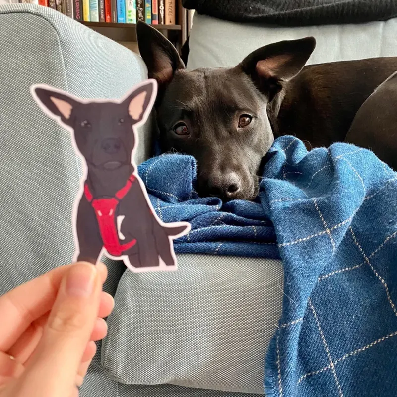 Pawsitively Adorable: Popular Designs for Custom Pet Stickers