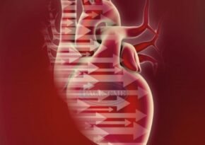 Vericiguat And Dapagliflozin: A Therapy For Coronary Heart Failure