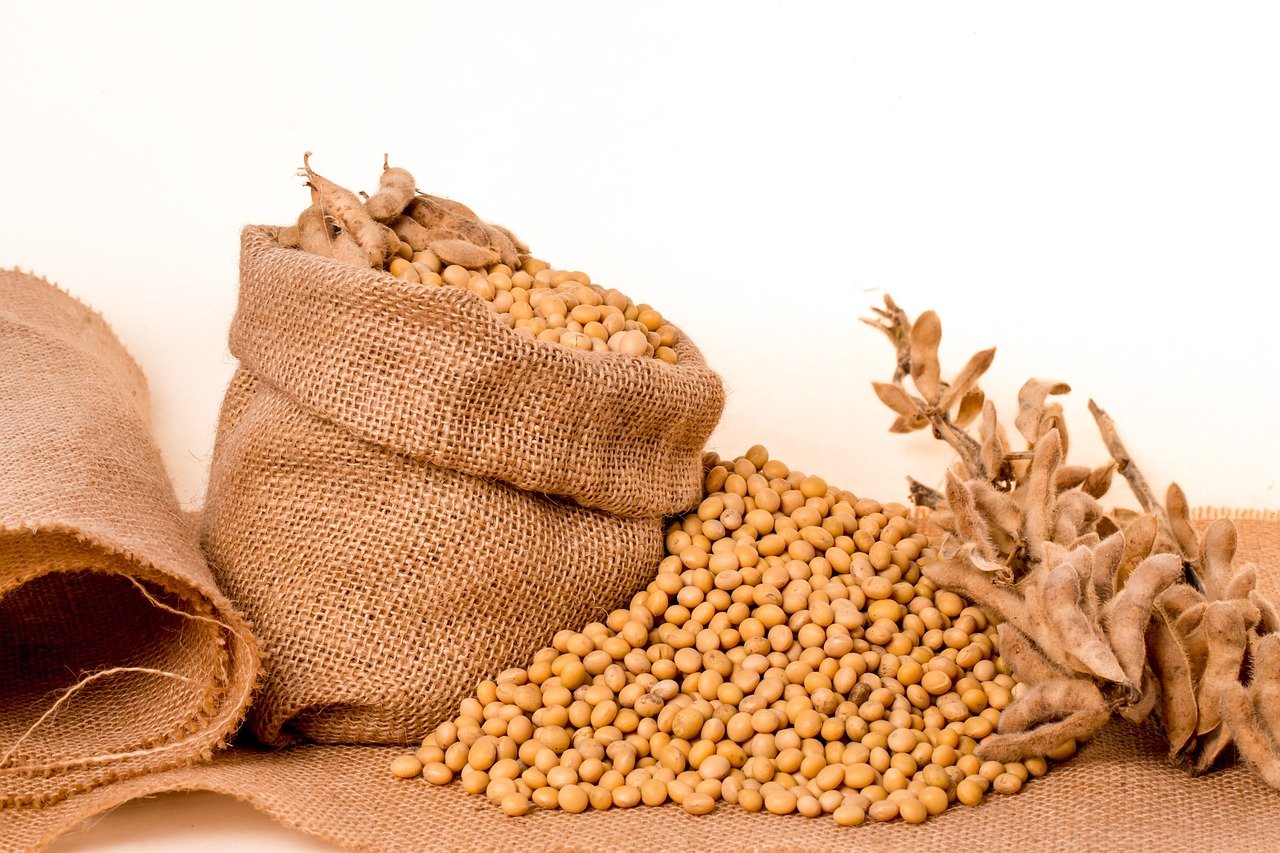 5 Advantages Of Soybean Oil For Attractive Skin